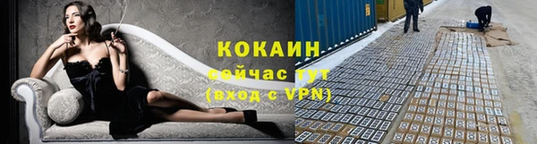 СК Кинешма