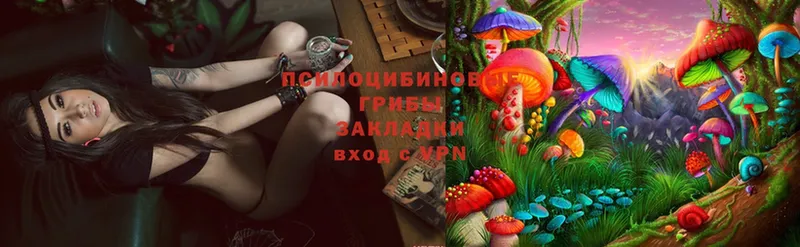 МЕГА сайт  Зверево  Галлюциногенные грибы Magic Shrooms 